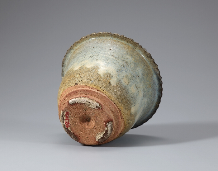 백탁유 화분 이미지 2 보기