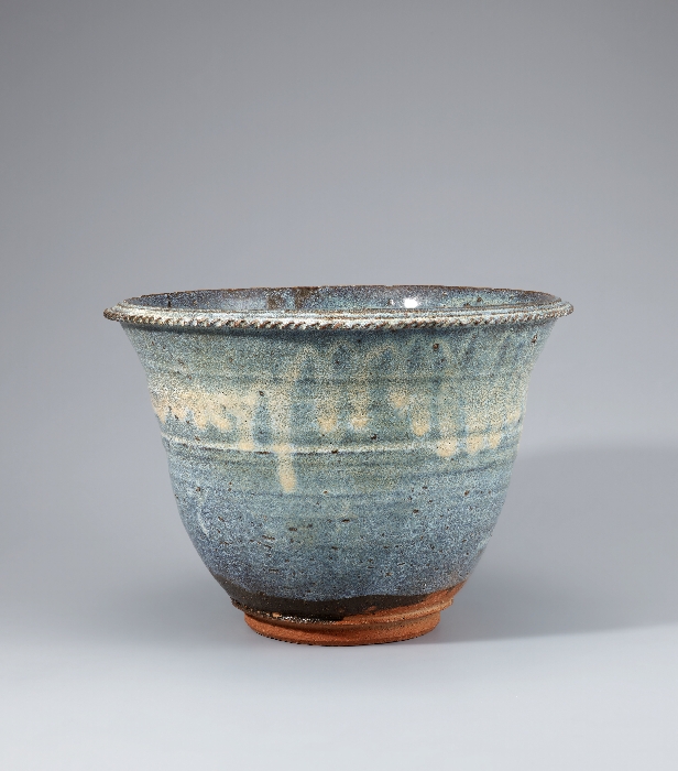 백탁유 화분 이미지 1 보기