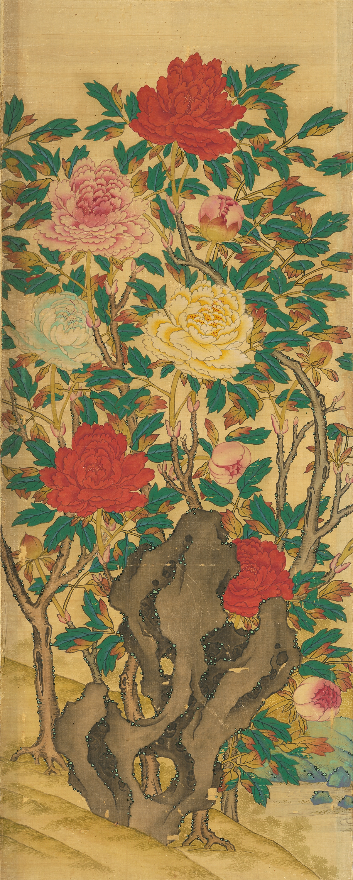 모란도 이미지 7