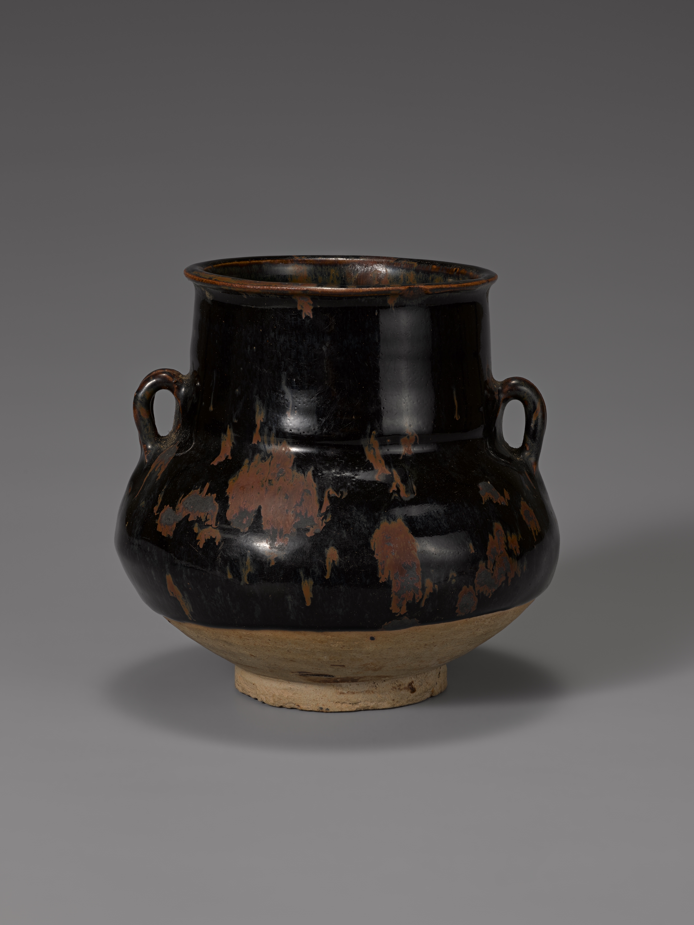 천목이부호 이미지 1