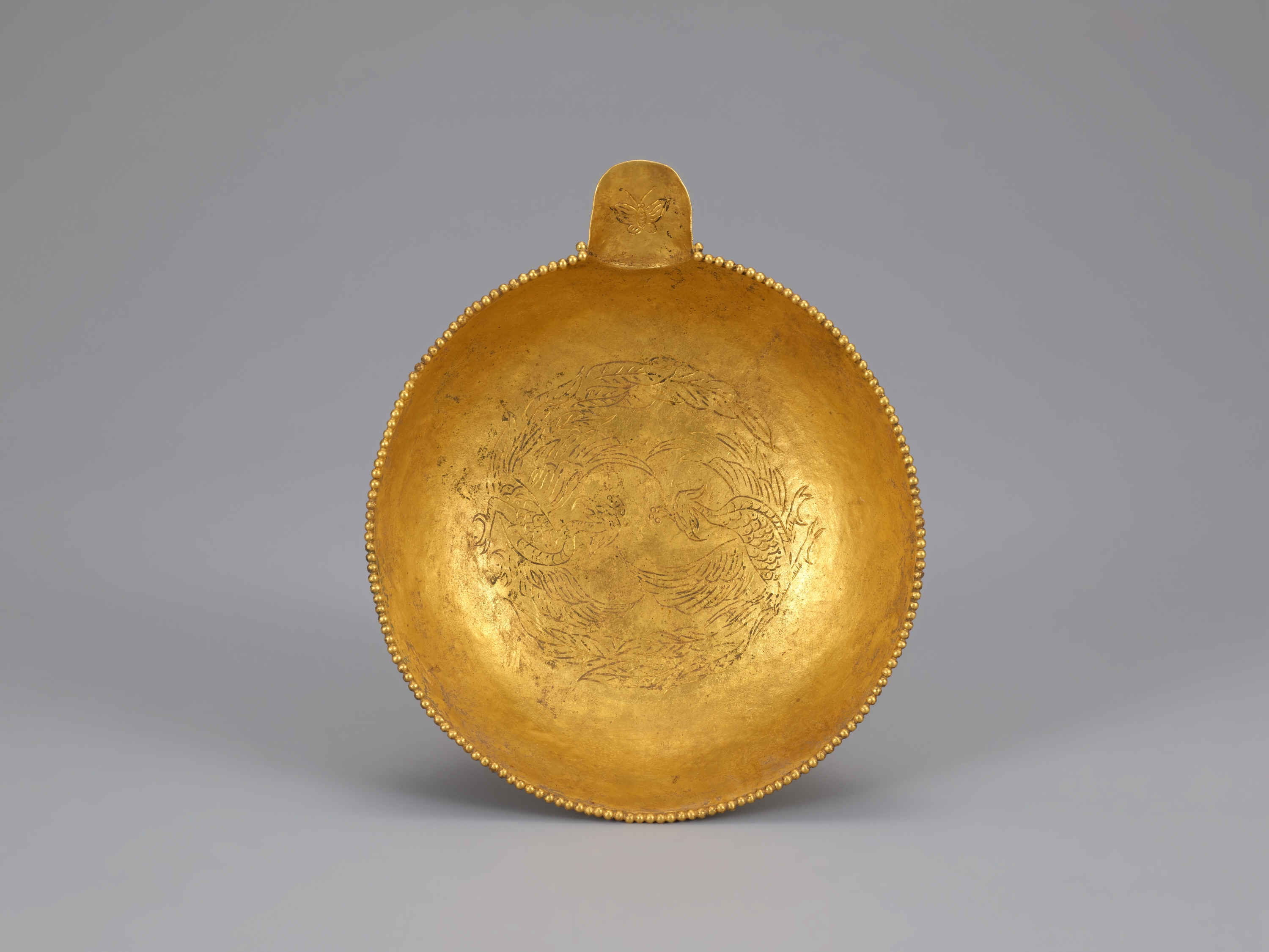 금제 완 이미지 2